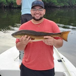 Meet your Posher, Gus